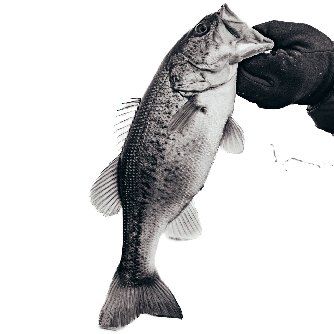 Newport’s Fishing-Driven Design Team | Built for Real Anglers