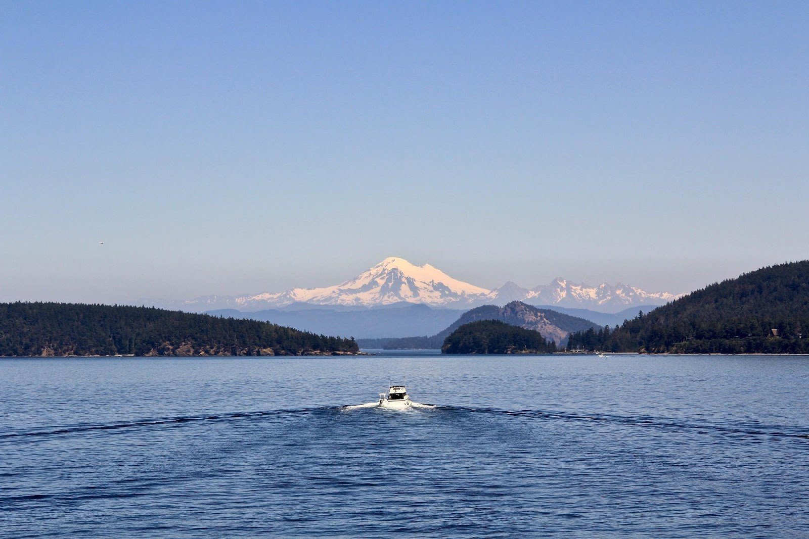 What You Need To Go Crabbing On The Puget Sound